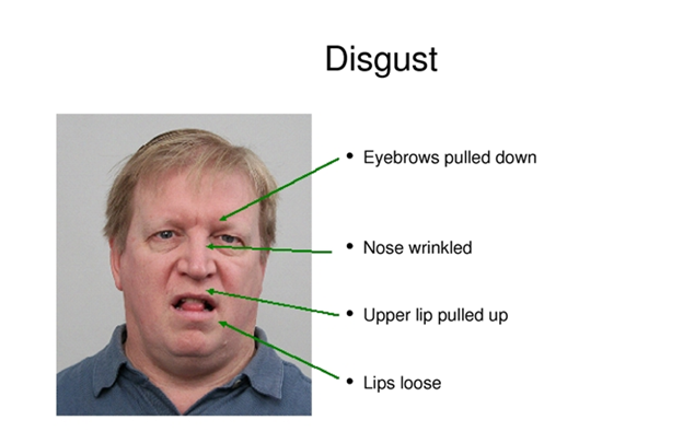 7 احساس پایه انسان - پل اکمن (پاول اکمن) 7 آکادمی آموزشی کامیارشو آموزش مهارتهای کسب و کار و رسیدن به ثروت